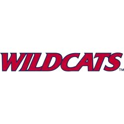 arizona-wildcats-wordmark-logo-2013-present-4